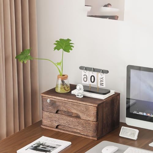 Schreibtisch Organizer Aufbewahrungsboxen - Aktenschrank Für Den Schreibtisch, Schreibtischs-Schubladenschrank Aus Holz, Schreibtischs-Aufbewahrungsbox Mit Abschließbaren Schubladen(A,2 Layer) von JDZYFFS
