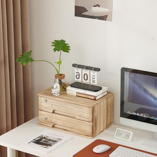Schreibtisch Organizer Aufbewahrungsboxen - Schreibtischs-Schubladenschrank Aus Holz, Aktenschrank Für Den Schreibtisch, Schreibtischs-Aufbewahrungsbox Mit Abschließbaren Schubladen(B,2 Layer) von JDZYFFS