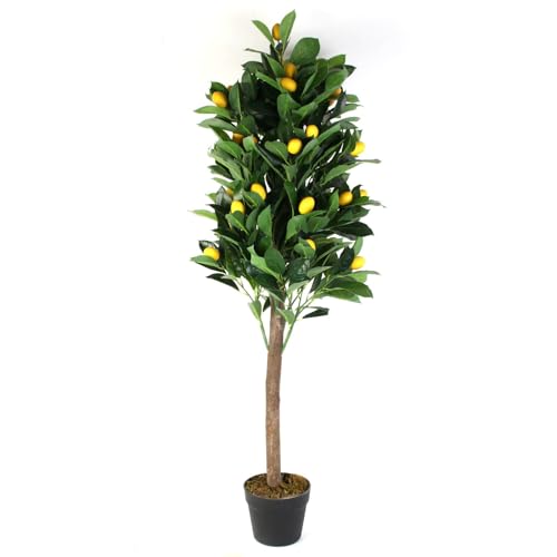 HOME DECO FACTORY JE CHERCHE UNE Idee Hd4153 – Künstliche Pflanze, Zitronenbaum, 120 °C, Dekoration, künstliche Pflanze von HOME DECO FACTORY