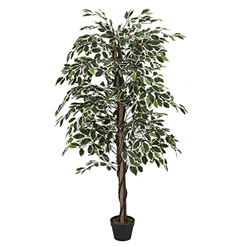 HOME DECO FACTORY Je Cherche UNE Idee HD4181 Je Cherche UNE Idee-HD4181 Panache, 160 cm, Kunstpflanze, PEVA-Kunststoff, Grün, 170 x 80 x 80 cm HOME DECO FACTORY Je Cherche UNE Idee HD4181 Je Cherche UNE Idee-HD4181 Panache, 160 cm, Kunstpflanze, PEVA-Kunststoff, Grün, 170 x 80 x 80 cm von HOME DECO FACTORY