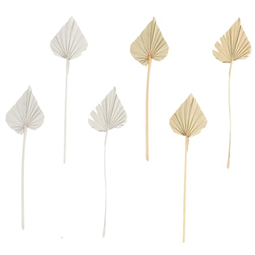 JECOMPRIS 6 Stück Teiliges Getrocknete Palmenblätter Natürliche Deko für Hochzeit Wandbehang Tischdeko Tropischer Stil Rustikal Langlebig und Pflegeleicht JECOMPRIS 6 Stück Teiliges Getrocknete Palmenblätter Natürliche Deko für Hochzeit Wandbehang Tischdeko Tropischer Stil Rustikal Langlebig und Pflegeleicht von JECOMPRIS