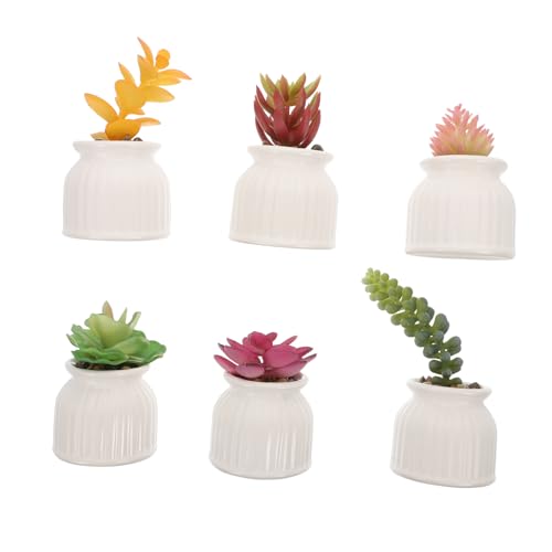 JECOMPRIS 6 Stück Teiliges Künstliches Sukkulenten Keramiktopf Realistische Bonsai Deko Pflegeleicht Kompakte für DIY Ornamente und Stilvolle Wohnraumgestaltung JECOMPRIS 6 Stück Teiliges Künstliches Sukkulenten Keramiktopf Realistische Bonsai Deko Pflegeleicht Kompakte für DIY Ornamente und Stilvolle Wohnraumgestaltung von JECOMPRIS