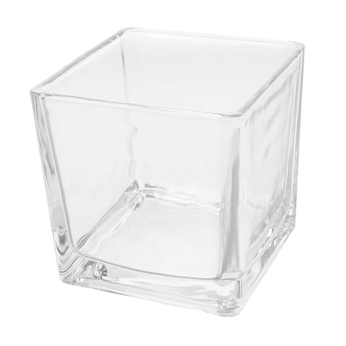 JECOMPRIS Hydroponische Vase Vase Transparente Glasvase Klare Quadratische Vasen Glasbehälter Für Terrarium Blumenvase Modern Würfelvase Aus Glas Klare Blumenvasen Glas Transparent von JECOMPRIS
