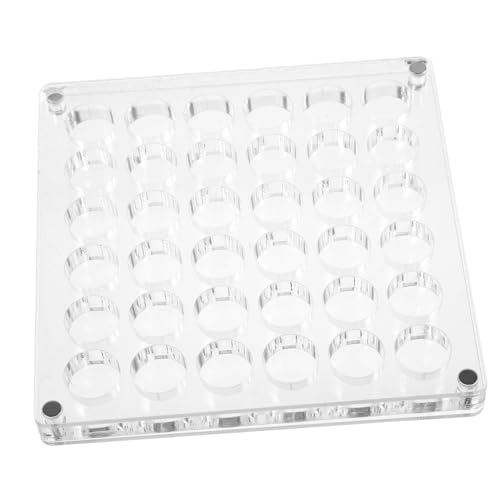 JECOMPRIS Muschel-aufbewahrungsbox Aus Klarem Acryl Mini-Organizer Mit Runden Gittern Für Muscheln Und Mini-Steine Vitrine Zur Präsentation Kleiner Schätze von JECOMPRIS