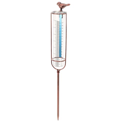 JECOMPRIS Regenmesser Für Den Außenbereich Dekorativer Kolibri-Regenmesser Großes Frostsicheres Glas Wassermesser Regenmesser Glas-Ersatzrohr Für Hof Garten Im Freien von JECOMPRIS