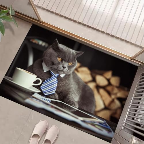 Dunkelgrau Waschbarer Teppich Süße Britisch Kurzhaarkatze Muster 50X80Cm Lustiges Tier Poster Eingangsbereich Modern Fußmatte Badezimmerteppich Weich Rutschfest Kleiner Kurzflor Bad Schlafzimmer Dunkelgrau Waschbarer Teppich Süße Britisch Kurzhaarkatze Muster 50X80Cm Lustiges Tier Poster Eingangsbereich Modern Fußmatte Badezimmerteppich Weich Rutschfest Kleiner Kurzflor Bad Schlafzimmer von JEDTAKCT