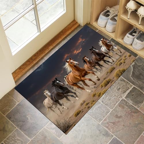 JEDTAKCT Braun Waschbarer Teppich Wüstenpferde Muster 80X120Cm Wildtiere Eingangsbereich Modern Fußmatte Badezimmerteppich Weich rutschfest Kleiner Kurzflor Bad Schlafzimmer JEDTAKCT Braun Waschbarer Teppich Wüstenpferde Muster 80X120Cm Wildtiere Eingangsbereich Modern Fußmatte Badezimmerteppich Weich rutschfest Kleiner Kurzflor Bad Schlafzimmer von JEDTAKCT