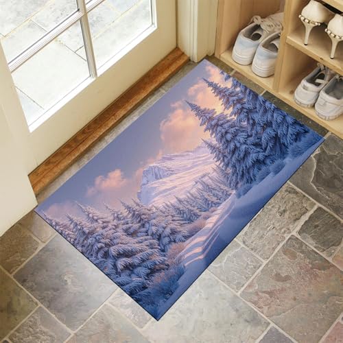 JEDTAKCT Hellblau Waschbarer Teppich Verschneite Berge Wälder Muster 80X120Cm Winterlandschaft Eingangsbereich Modern Fußmatte Badezimmerteppich Weich rutschfest Kleiner Kurzflor Bad Schlafzimmer JEDTAKCT Hellblau Waschbarer Teppich Verschneite Berge Wälder Muster 80X120Cm Winterlandschaft Eingangsbereich Modern Fußmatte Badezimmerteppich Weich rutschfest Kleiner Kurzflor Bad Schlafzimmer von JEDTAKCT