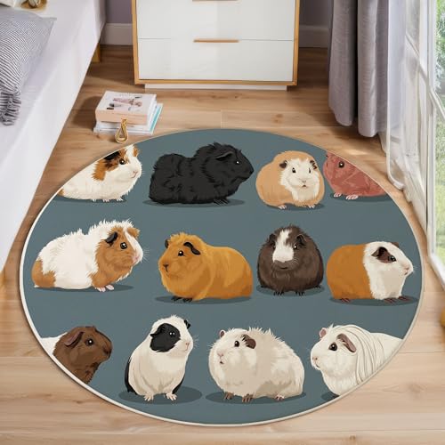 JEDTAKCT Runder Teppiche Wohnzimmer, Blaugrau Süßes Meerschweinchen Muster Waschbare Teppiche, rutschfest Weicher Kurzflor Tierillustration Teppich Für Schlafzimmer Esszimmer Kamin, 200 cm JEDTAKCT Runder Teppiche Wohnzimmer, Blaugrau Süßes Meerschweinchen Muster Waschbare Teppiche, rutschfest Weicher Kurzflor Tierillustration Teppich Für Schlafzimmer Esszimmer Kamin, 200 cm von JEDTAKCT