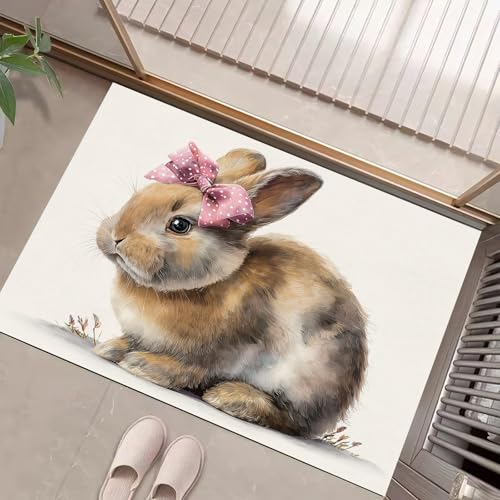 JEDTAKCT Schleifenhase Fußmatte Teppich Süßes Tier Kurzflor Fussmatte Braun Türmatte rutschfest Waschbarer Retro Teppich Für Esszimmer Flur Eingangsbereich Fußabtreter 50X80Cm JEDTAKCT Schleifenhase Fußmatte Teppich Süßes Tier Kurzflor Fussmatte Braun Türmatte rutschfest Waschbarer Retro Teppich Für Esszimmer Flur Eingangsbereich Fußabtreter 50X80Cm von JEDTAKCT