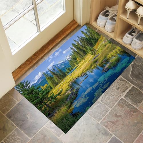 JEDTAKCT Smaragdgrün Waschbarer Teppich Waldgrasland Muster 90X150Cm Berglandschaft Eingangsbereich Modern Fußmatte Badezimmerteppich Weich rutschfest Kleiner Kurzflor Bad Schlafzimmer JEDTAKCT Smaragdgrün Waschbarer Teppich Waldgrasland Muster 90X150Cm Berglandschaft Eingangsbereich Modern Fußmatte Badezimmerteppich Weich rutschfest Kleiner Kurzflor Bad Schlafzimmer von JEDTAKCT