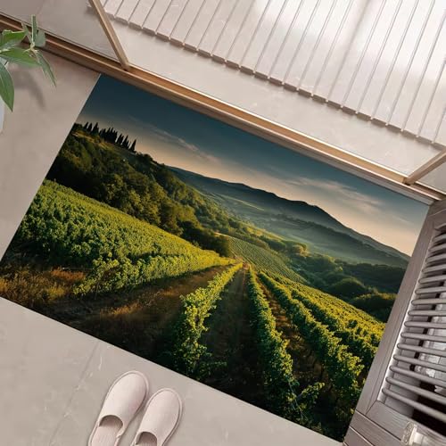 JEDTAKCT Smaragdgrün Waschbarer Teppich Weinberglandschaft Muster 90X150Cm Bewaldete Berge Eingangsbereich Modern Fußmatte Badezimmerteppich Weich rutschfest Kleiner Kurzflor Bad Schlafzimmer JEDTAKCT Smaragdgrün Waschbarer Teppich Weinberglandschaft Muster 90X150Cm Bewaldete Berge Eingangsbereich Modern Fußmatte Badezimmerteppich Weich rutschfest Kleiner Kurzflor Bad Schlafzimmer von JEDTAKCT