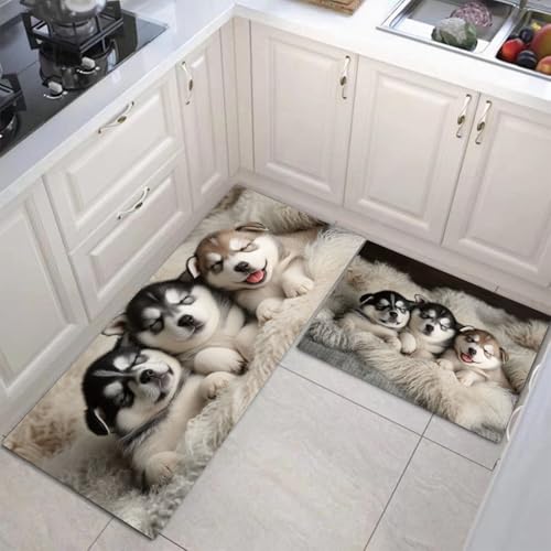 JEDTAKCT Süßer Husky Absorptionsfähigkeit Hause Deko Küchenteppich 2Er Set, Waschbar Tier Poster Dekoration Küchenmatten Für Innen Außen Beige Dekor - 40X60Cm+40X120Cm JEDTAKCT Süßer Husky Absorptionsfähigkeit Hause Deko Küchenteppich 2Er Set, Waschbar Tier Poster Dekoration Küchenmatten Für Innen Außen Beige Dekor - 40X60Cm+40X120Cm von JEDTAKCT