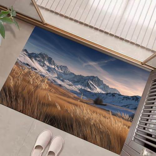 JEDTAKCT Teppiche Mit Schneegebirgskette, Weizenfeldlandschaft Teppich Weiche, Himmelblau rutschfeste Fußmatte Waschbarer Teppich Für Eingang Badezimmer Treppe Spielzimmer Fußmatte, 40X60Cm JEDTAKCT Teppiche Mit Schneegebirgskette, Weizenfeldlandschaft Teppich Weiche, Himmelblau rutschfeste Fußmatte Waschbarer Teppich Für Eingang Badezimmer Treppe Spielzimmer Fußmatte, 40X60Cm von JEDTAKCT
