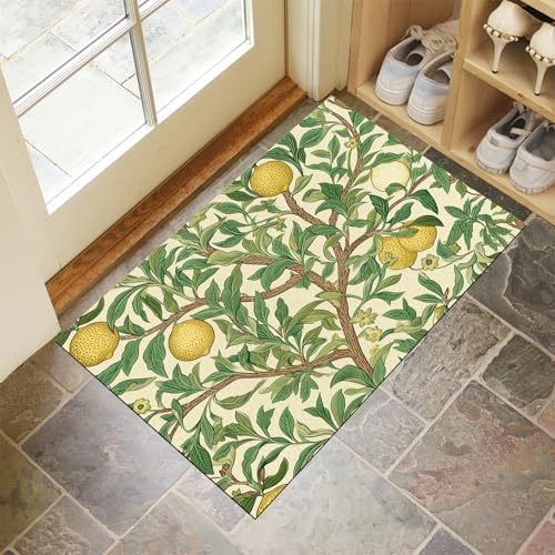JEDTAKCT Vintage Zitronenbaum Teppich Wohnzimmer Schlafzimmer Botanische Ästhetik Waschbare Fußmatte Innen Smaragdgrün Kurzflor rutschfest Dünne Fussmatte Schmutzfangmatte Für Küche 90X150Cm JEDTAKCT Vintage Zitronenbaum Teppich Wohnzimmer Schlafzimmer Botanische Ästhetik Waschbare Fußmatte Innen Smaragdgrün Kurzflor rutschfest Dünne Fussmatte Schmutzfangmatte Für Küche 90X150Cm von JEDTAKCT