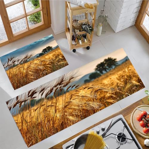 Küchenteppich Sets 2 Stück Ländliches Weizenfeld Rutschfeste Küchenteppiche Matten Waschbare Flur Teppiche Pastorale Landschaft Küchenbodenmatte Läufer Teppiche, Golden Brown, 43X75Cm+43X150Cm von JEDTAKCT