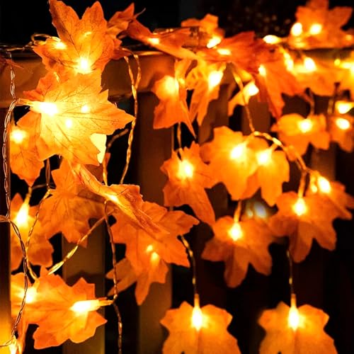 JEDWKFA Ahornblatt Lichterketten, Herbst Lichterkette, 3M Herbstgirlande Mit Licht, 30 Herbstdeko Led, Herbst Dekoration, Erntedankfest Deko, für Halloween Theme Erntedankfest Weihnachtsfeiern von JEDWKFA