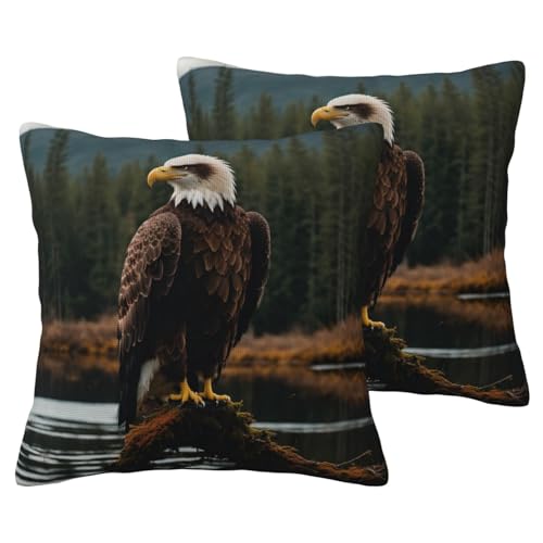 JEJEA Kissenbezug aus Leinenimitat mit fliegendem Adler, dekorative Kissenbezüge für Wohnzimmer, Bett, Sofa, 2 Sets von JEJEA