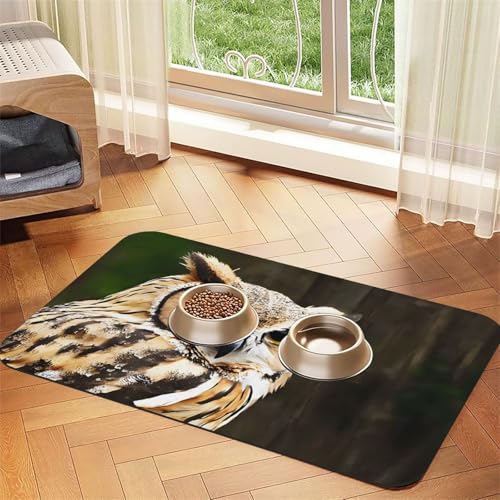 Outdoor-Tischdecke mit Eulen-Druck, saugfähig, perfekt für Hunde, Katzen und andere Haustiere von JEKYDOSD