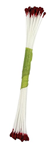 PME STAM20BG Staubgefäße für Zuckerblumen, fein, Kunststoff, Perl-weinrot, 0.1 x 0.11 x 7.4 cm PME STAM20BG Staubgefäße für Zuckerblumen, fein, Kunststoff, Perl-weinrot, 0.1 x 0.11 x 7.4 cm von PME
