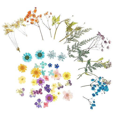 JEWEDECO 4taschen Getrocknete Blumen Naturmaterial DIY Dekoration Blumenschmuck Heimwerker Bastelmaterial Blumengeschenk von JEWEDECO