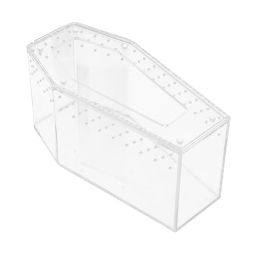 JEWEDECO Transparenter Reptilien Terrarium mit Sicherem Ausbruchsicheren Deckel Kleines Gehäuse für Springspinnen Echsen und Schlangen Kompakter Transparenter Zucht und Beobachtungskasten von JEWEDECO