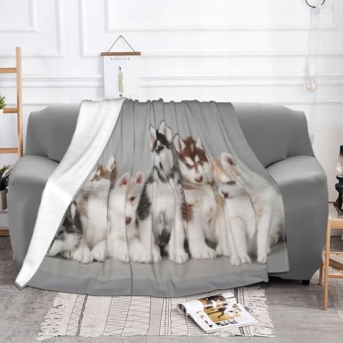 JEWOSS Flanelldecke mit Hunde-Motiv, superweich, superfeine Wolle, Anti-Pilling-Flanell-Decke von JEWOSS