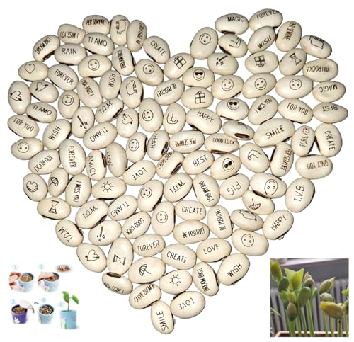 J&J Packung mit 100 Samen magische Bohnen Magic Bean Magic Beans Geschenkidee Wiederholungsereignis Neugier Idee Zuhause Geschenk Bingo Weihnachtsfeier in der Liebe besondere Nachricht… von JEYEFFE
