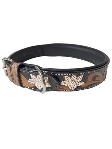 JF-Reitsport Leder Hundehalsband im Western-Design, Handgefertigt Trend Robust Breit (S 12-15 Inches) von JF-Reitsport