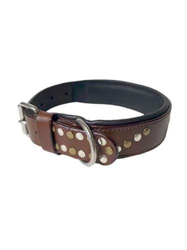 JF-Reitsport Leder Hundehalsband im Western-Design, Handgefertigt Trend Robust Breit (XXL 19-25 Inches) von JF-Reitsport
