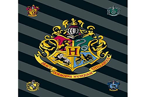 JFABRICS Kuscheldecke Harry Potter Hogwarts Wappen von Harry Potter