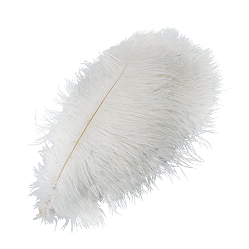 JFBUCF 10 Stück natürliche weiße Straußenfedern, 45–50 cm DIY Handwerk Feder für Hochzeit Tafelaufsätze Blumenarrangement Weihnachten Neujahr Dekoration JFBUCF 10 Stück natürliche weiße Straußenfedern, 45–50 cm DIY Handwerk Feder für Hochzeit Tafelaufsätze Blumenarrangement Weihnachten Neujahr Dekoration von JFBUCF