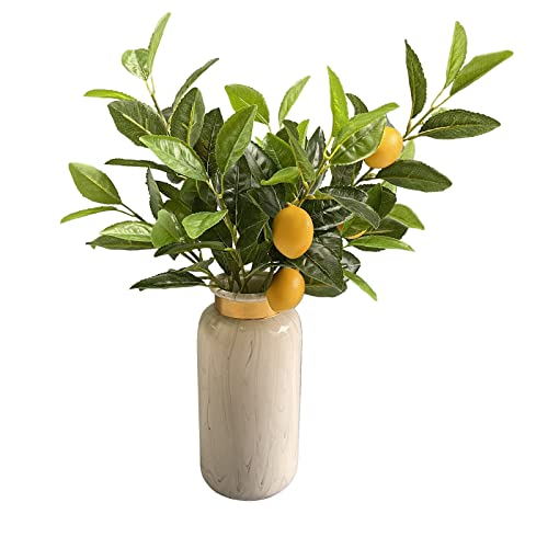 JFBUCF Künstliche Zitronenzweig, 50 cm, gelbe Zitronenpflanzen mit grünen Blättern, künstliche Zitronenfrüchte, Baumstamm für Vase, Küche, Bauernhaus, Tischdekoration, 3 Stück von JFBUCF
