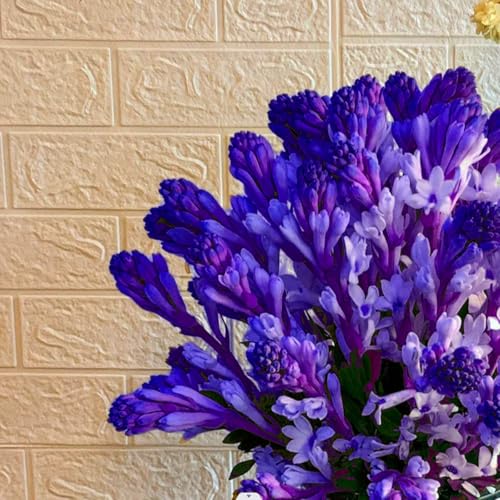 Tuberose Blumenzwiebeln - winterharte, stark duftende Mehrjahrespflanzen für Garten und Vase -8 zwiebeln-F von JFFNMFM