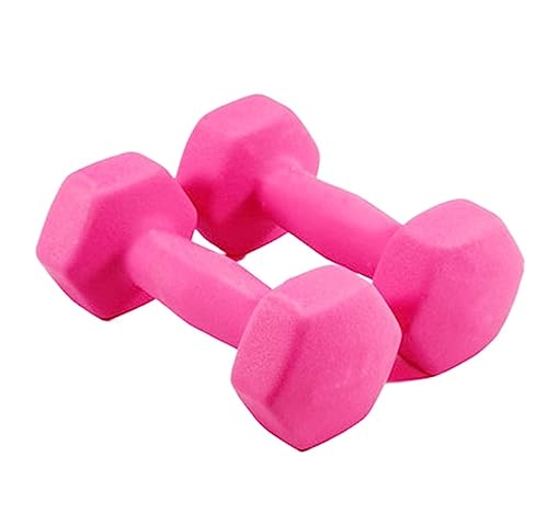 JFGCTYHXY Hanteln, Hanteln Set Gewichte Frosted Hex Hantel Gewicht for Bodybuilding Fitness Gewichtheben Training Zu Hause(Pink,3kg(1.5kg*2)) von JFGCTYHXY