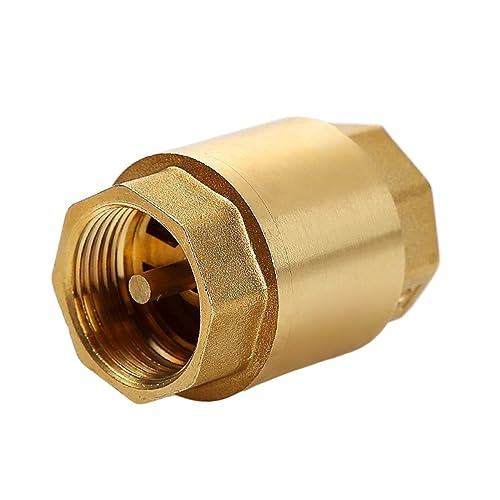 JFQOWCMP 1 Stück DN15/DN20/DN25 NPT Messinggewinde Inline-Federrückschlagventil 25 mm Durchmesser 200WOG zur Wasserkontrolle(2 Inch) von JFQOWCMP