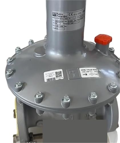 Pietro Fiorentini high flow regulator flange connection DIVAL 700 DN50 von JFRHECERE
