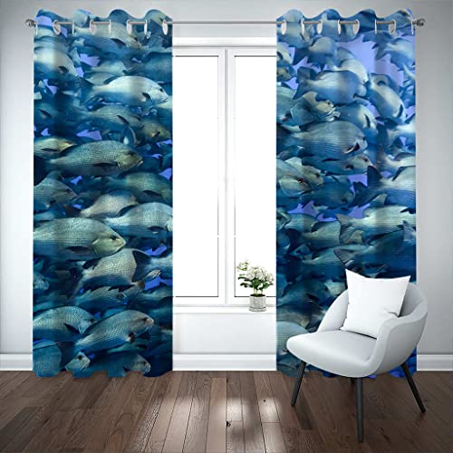 JGCAI Blickdicht Ösen Vorhang 2Er Set Blauer Meeresfisch Gardine Geräuschreduzierung Sonnenschutz Fenstervorhang Verdunkelungsvorhang Für Wohnzimmer Schlafzimmer Kinderzimmer 183x214cm von JGCAI