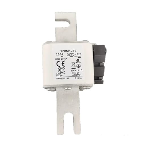 JGGCKNOGG 170M4219 170M4238 170M4239 170M4240 Sicherungskernsicherung (Size : 170M4219) von JGGCKNOGG