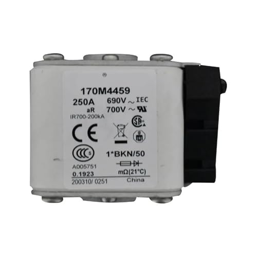 JGGCKNOGG 170M5763 170M5764 170M5765 170M5766 Sicherung Standard-Sicherungskern (Size : 170M5767) von JGGCKNOGG