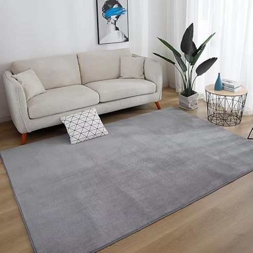 JGGXHM Grauer großer Teppich für Wohnzimmer, Sofabereich, kurzfloriger Schlafzimmerteppich, weiche Bodenmatte für den Nachttisch, Balkon, rutschfeste Kindermatte, Heimdekoration (180 x 200 cm) von JGGXHM