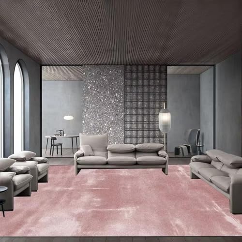 JGGXHM Moderne leichte Luxusatmosphäre Wohnzimmerteppich Einfache Reinigung Freizeit Schlafzimmer Teppiche rutschfeste Dekoration Home Fußmatten 60x90cm von JGGXHM