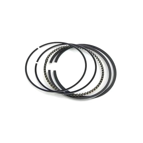 Kolbenring -Set 64mm kompatibel mit 4 Taktmotor HR 195 215 Serie GC160 GCV160 5 0 PS(2 SETS) von JGHFReW