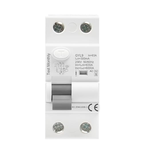 GYL9 AC-S Typ Zeitverzögerter RCD RCCB ELCB Verzögerungstyp Elektromagnetischer Schutzschalter 1St(AC-S 2P 40A,300mA) von JGODGQPM