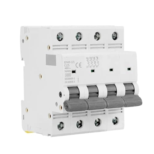 GYM9-125 AC Elektrischer Leistungsschalter 80A 100A 125A 1P 2P 3P 4P AC 230V 400V 6KA MCB 1St(2P,C125A) von JGODGQPM