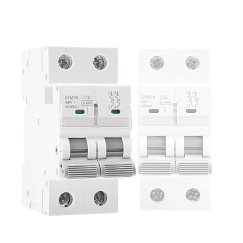 GYM9H 10KA Sicherungsautomat 2P 6A 10A 16A 20A 25A 32A 40A 50A 63A 1 Stück(10A) von JGODGQPM