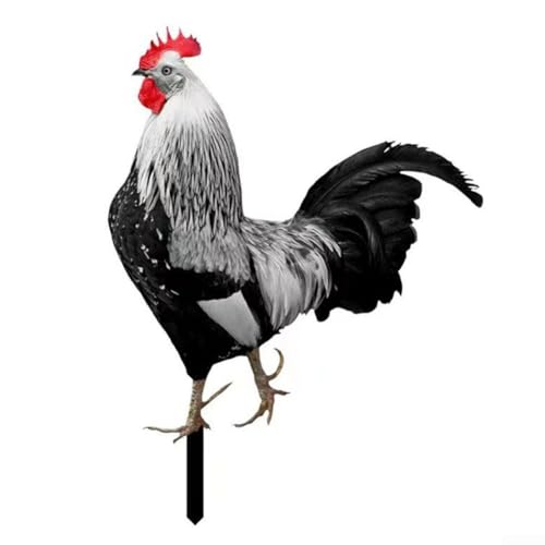 Bezaubernder Acryl-Hahn-Gartenornament, zur Verbesserung der Hinterhof- und Rasenästhetik (B) von JGmotorfi