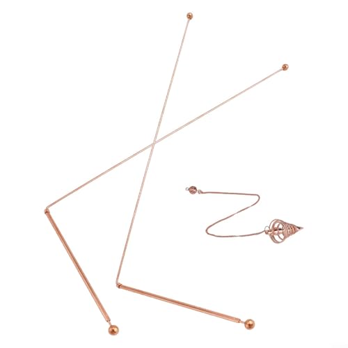 Treasure Hunting Essentials Kupferdetektorstäbe mit praktischer Aufbewahrungsbox, 2 Stück Treasure Hunting Essentials Kupferdetektorstäbe mit praktischer Aufbewahrungsbox, 2 Stück von JGmotorfi