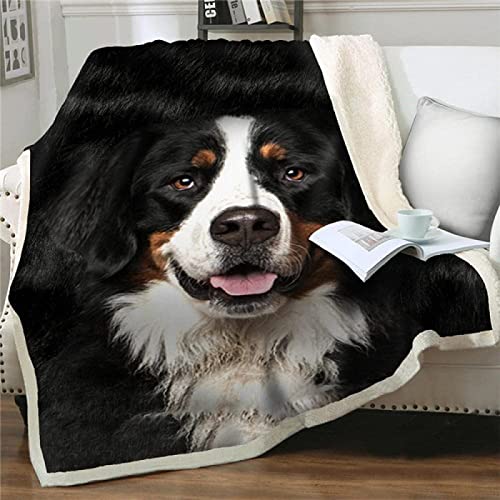 JHAHZJ Kuscheldecken Flauschig 150x200 Schweizer Berner Sennenhund Flanell Fleecedecke Weiche Warme Decke für Sofa Bett, als Wohndecke Bettdecke Couchdecke von JHAHZJ