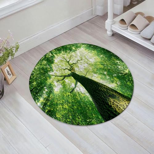 JHAOUNUK Weich Badezimmerteppich 60x60cm,Frühlingswaldbäume. Natur, grünes Holz, Sonnenlichthintergründe.,rutschfest waschbar Badematte Flauschige Badteppich Saugfähig Badvorleger Duschvorleger von JHAOUNUK